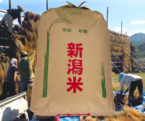 新潟コシヒカリ もんじゃ米【はさかけ米】玄米30kg