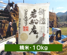 新潟コシヒカリ もんじゃ米【はさかけ米】＜新米白米（精米）・10kg＞