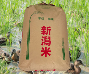 新潟コシヒカリ 【まがも米】7分つき・約27kg