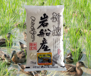 新潟コシヒカリ 【まがも米】玄米10kg