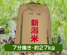 新潟コシヒカリ【まがも米】＜7分搗き・約27kg＞