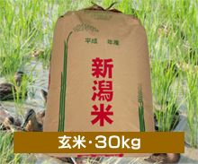 新潟コシヒカリ【まがも米】＜玄米・30kg＞