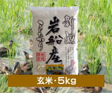 新潟コシヒカリ【まがも米】＜玄米・5kg＞