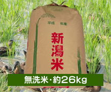 新潟コシヒカリ【まがも米】＜無洗米・約27kg＞