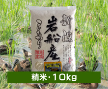 新潟コシヒカリ【まがも米】＜白米（精米）・10kg＞