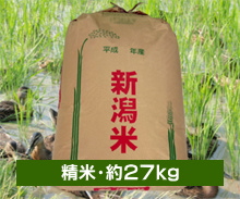 新潟コシヒカリ【まがも米】＜白米・約27kg＞