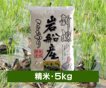 新潟コシヒカリ【まがも米】＜白米（精米）・5kg＞