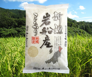 新潟コシヒカリ もんじゃ米 玄米2kg