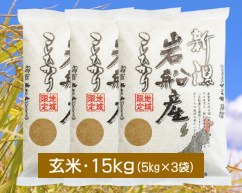 新潟 岩船産コシヒカリ「もんじゃ米」＜玄米・10kg＞