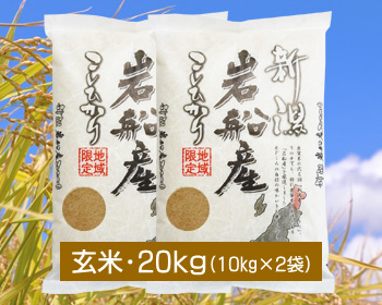 新潟 岩船産コシヒカリ「もんじゃ米」＜玄米・10kg＞