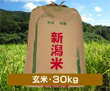 新潟コシヒカリ もんじゃ米＜玄米・30kg＞