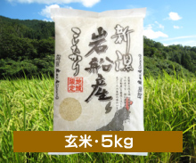 新潟米コシヒカリ もんじゃ米 【玄米 5kg】