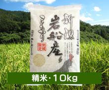 新潟米コシヒカリ もんじゃ米 【白米（精米） 10kg】