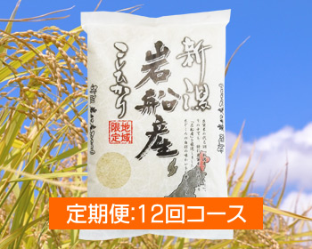 新潟岩船産コシヒカリ「もんじゃ米」＜定期便：12回コース＞