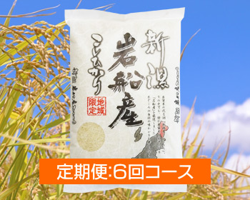 新潟岩船産コシヒカリ「もんじゃ米」＜定期便：6回コース＞